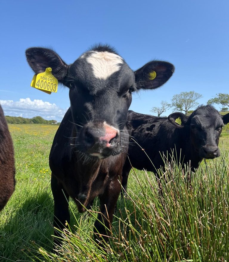 766C9294-CBD3-4567-81E5-9A6D9FF5B241_1_105_c